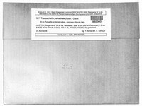 Tranzschelia pulsatillae image